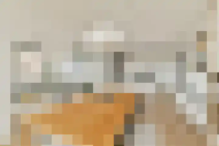 Botersloot 377 Rotterdam thumbnail 18