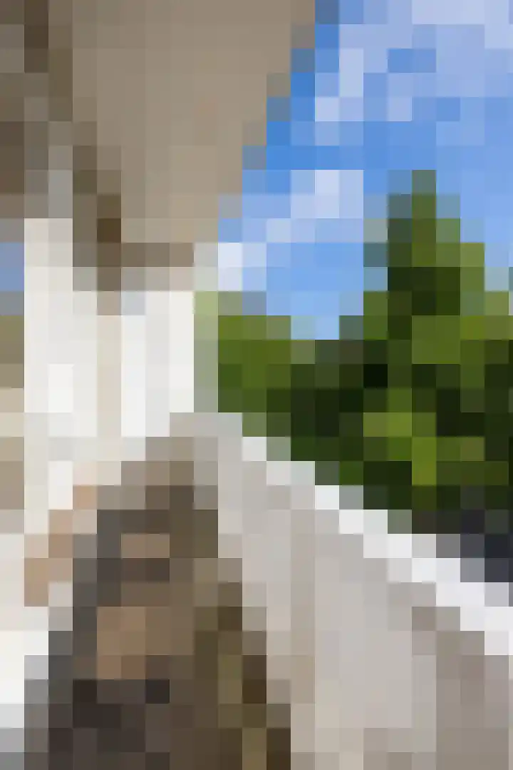 Botersloot 38 A Rotterdam thumbnail 10