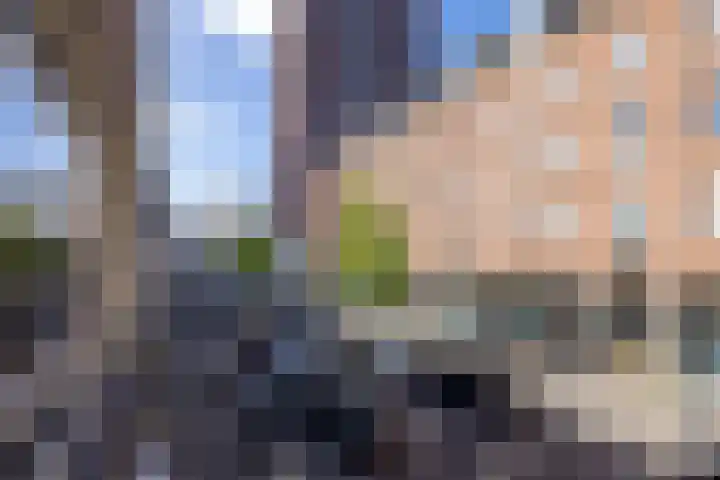 Botersloot 38 A Rotterdam thumbnail 10