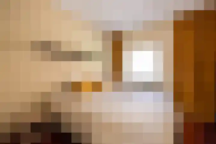 Botersloot 38 A Rotterdam thumbnail 11