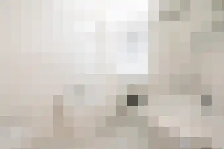 Botersloot 38 A Rotterdam thumbnail 12