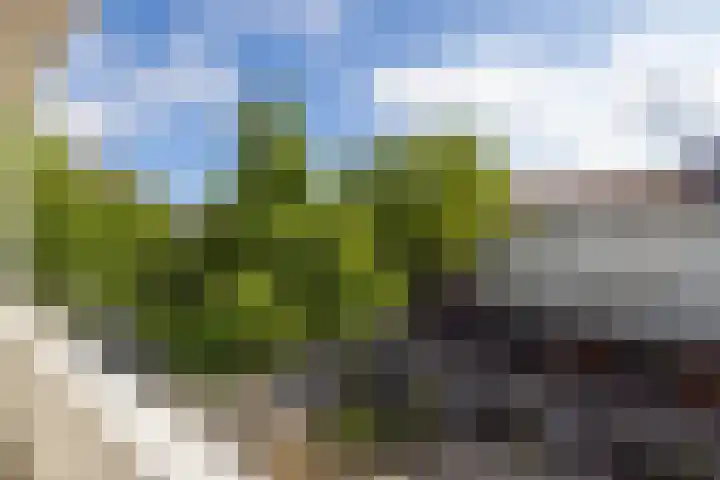 Botersloot 38 A Rotterdam thumbnail 4