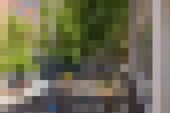 Botersloot 38 A Rotterdam thumbnail 9