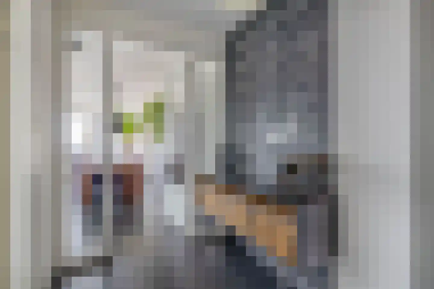 Botersloot 399 Rotterdam thumbnail 13