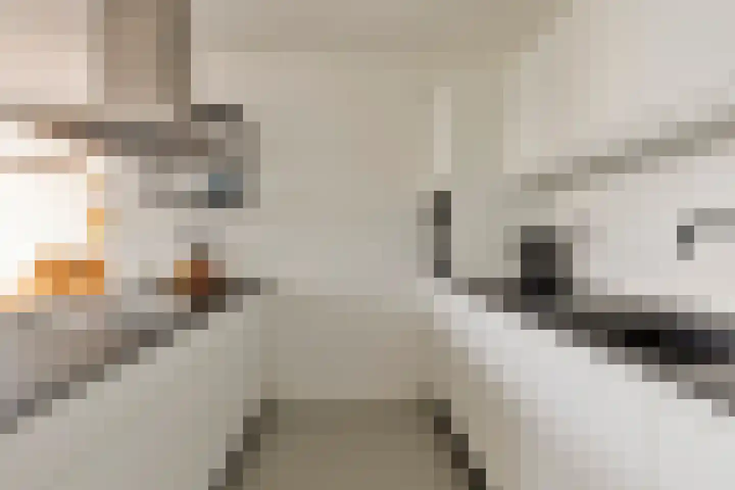 Botersloot 433 Rotterdam thumbnail 4