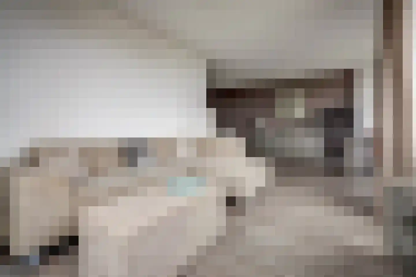 Botersloot 493 Rotterdam thumbnail 13