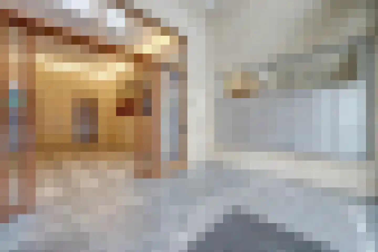 Botersloot 493 Rotterdam thumbnail 4
