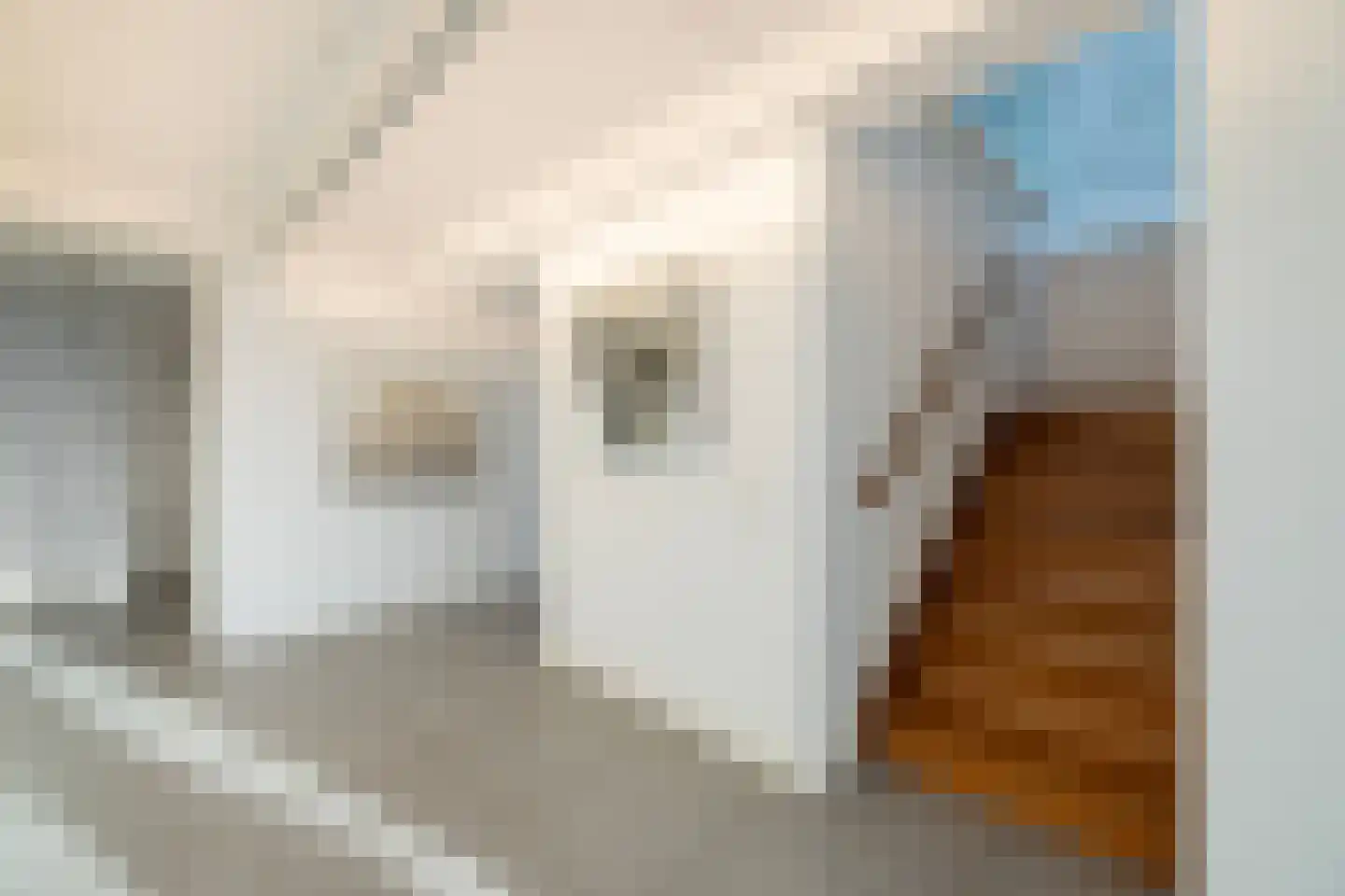 Botersloot 545 Rotterdam thumbnail 10