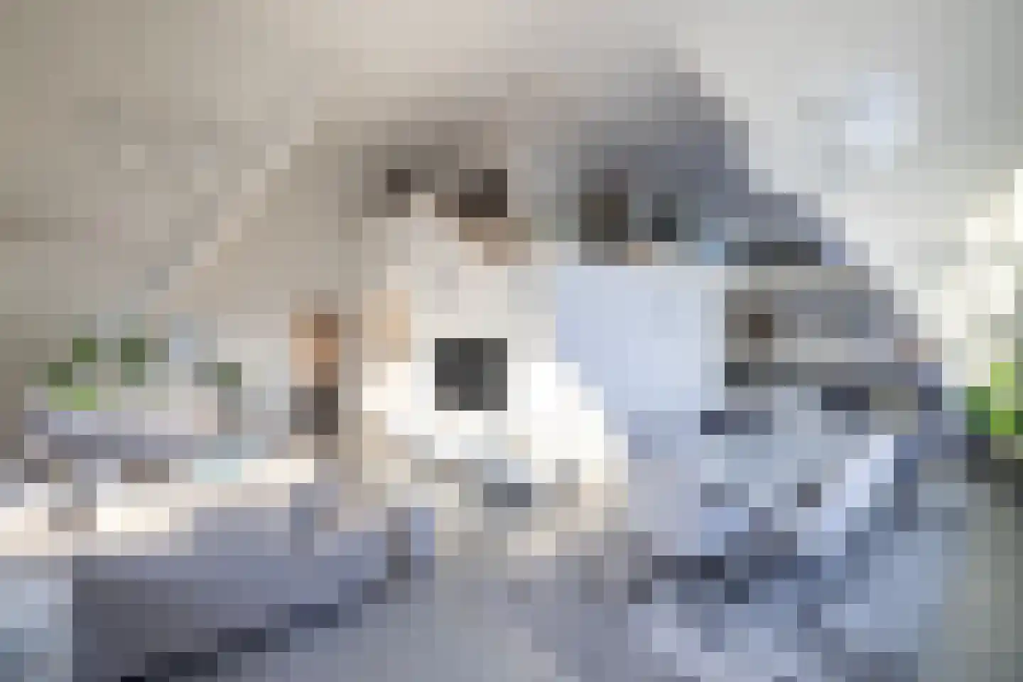 Botersloot 545 Rotterdam thumbnail 6