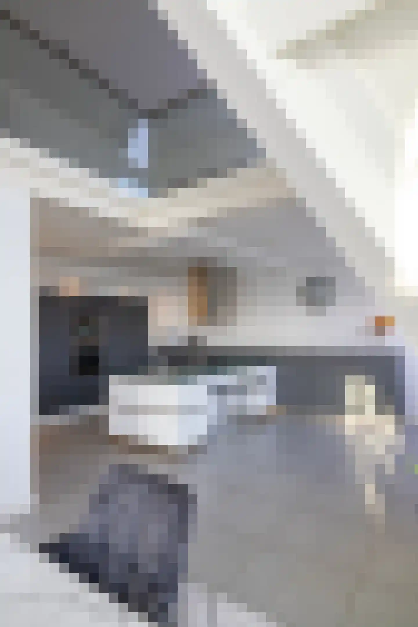 Botersloot 545 Rotterdam thumbnail 7