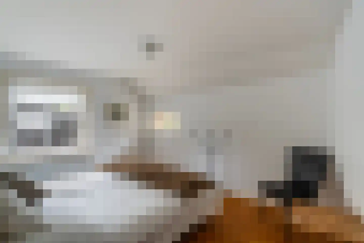 Botersloot 65 Noordeloos thumbnail 11