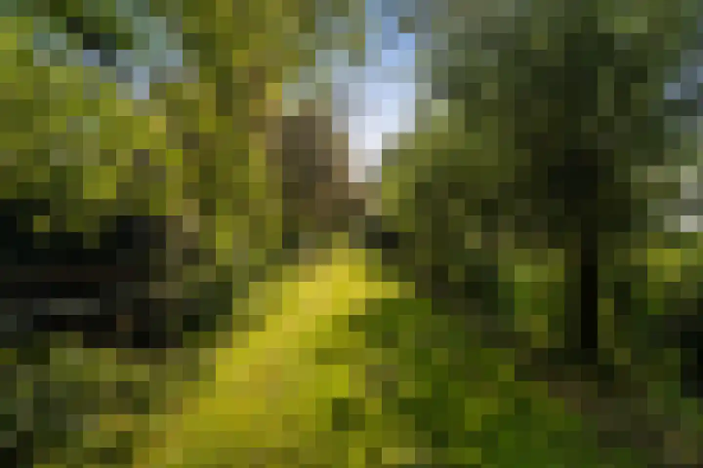 Botersloot 65 Noordeloos thumbnail 17