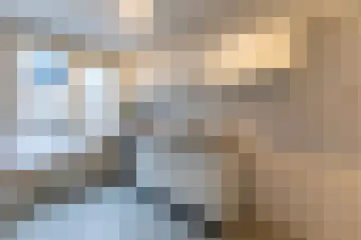 Botersloothof 26 B Rotterdam thumbnail 11