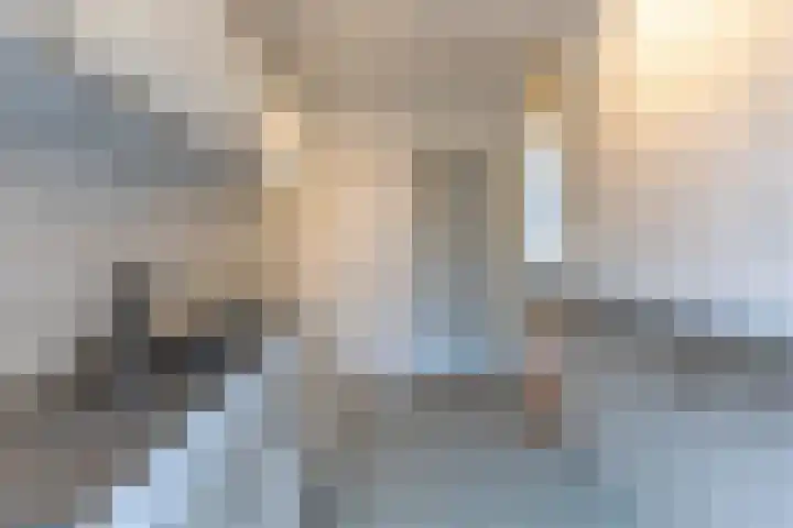 Botersloothof 26 B Rotterdam thumbnail 12