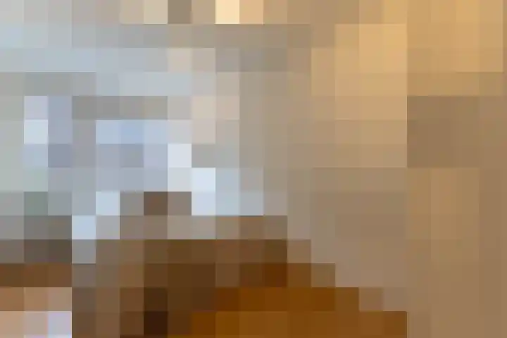 Botersloothof 26 B Rotterdam thumbnail 14