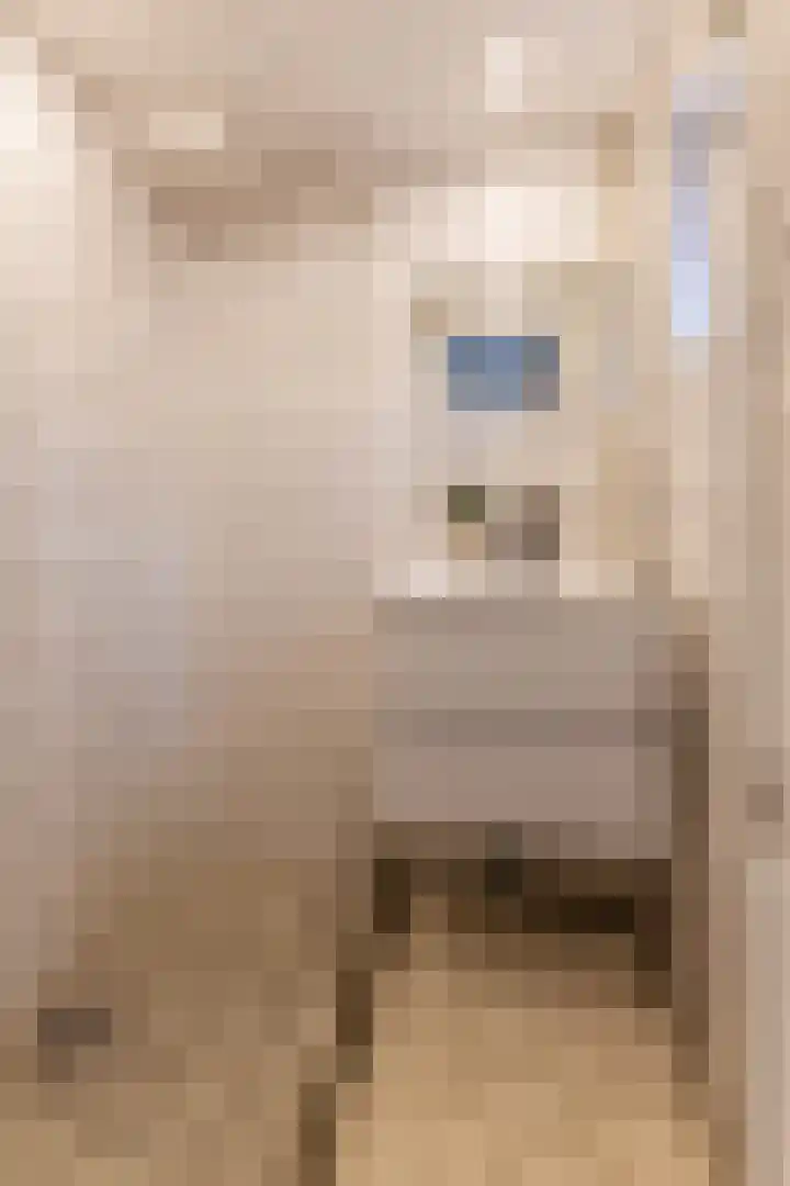 Botersloothof 26 B Rotterdam thumbnail 21