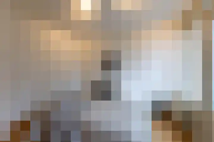 Botersloothof 26 B Rotterdam thumbnail 5