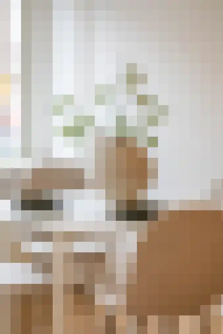 Botersloothof 26 B Rotterdam thumbnail 8