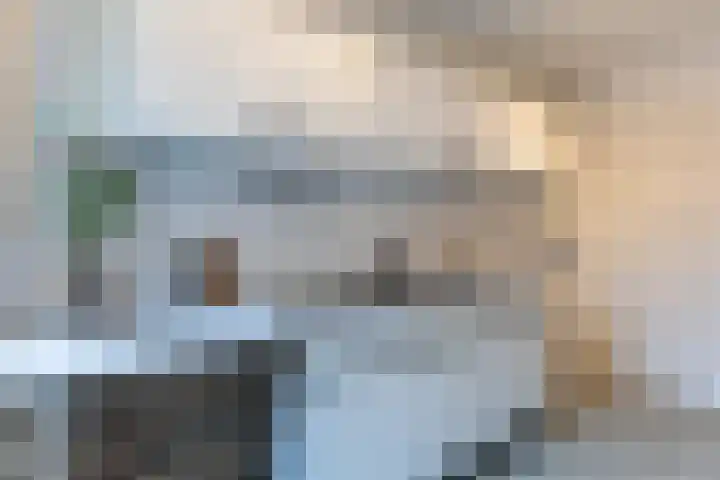 Botersloothof 26 B Rotterdam thumbnail 9