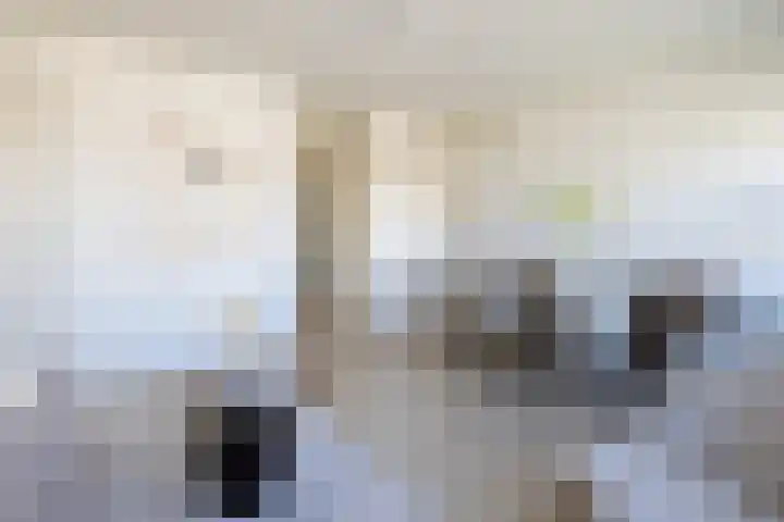 Botersloothof 26 E Rotterdam thumbnail 6