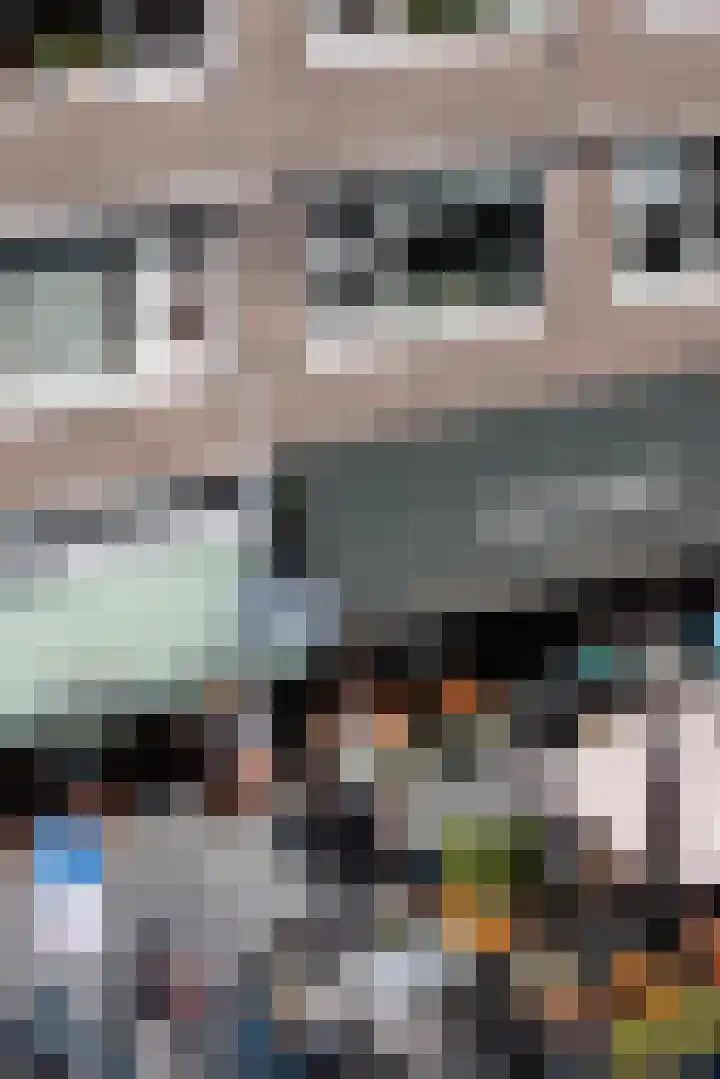 Botersloothof 26 E Rotterdam thumbnail 7
