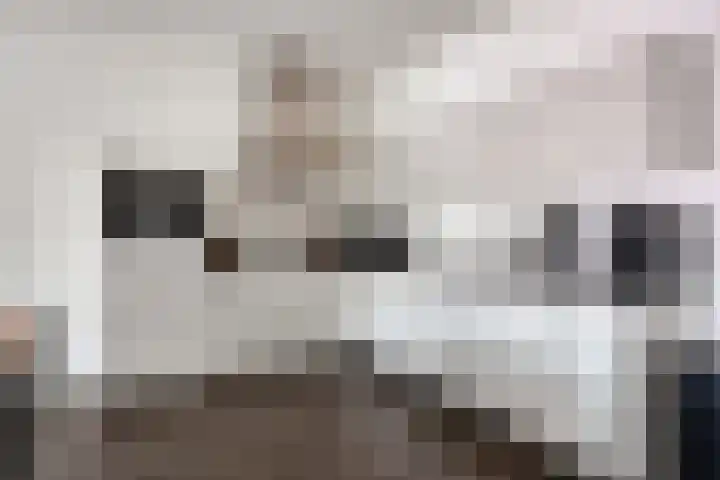 Botersteeg 11 B Coevorden thumbnail 13