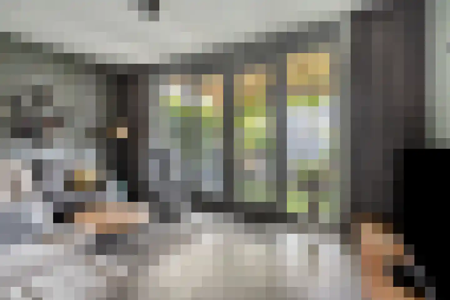 Botersteeg 3 Helmond thumbnail 13