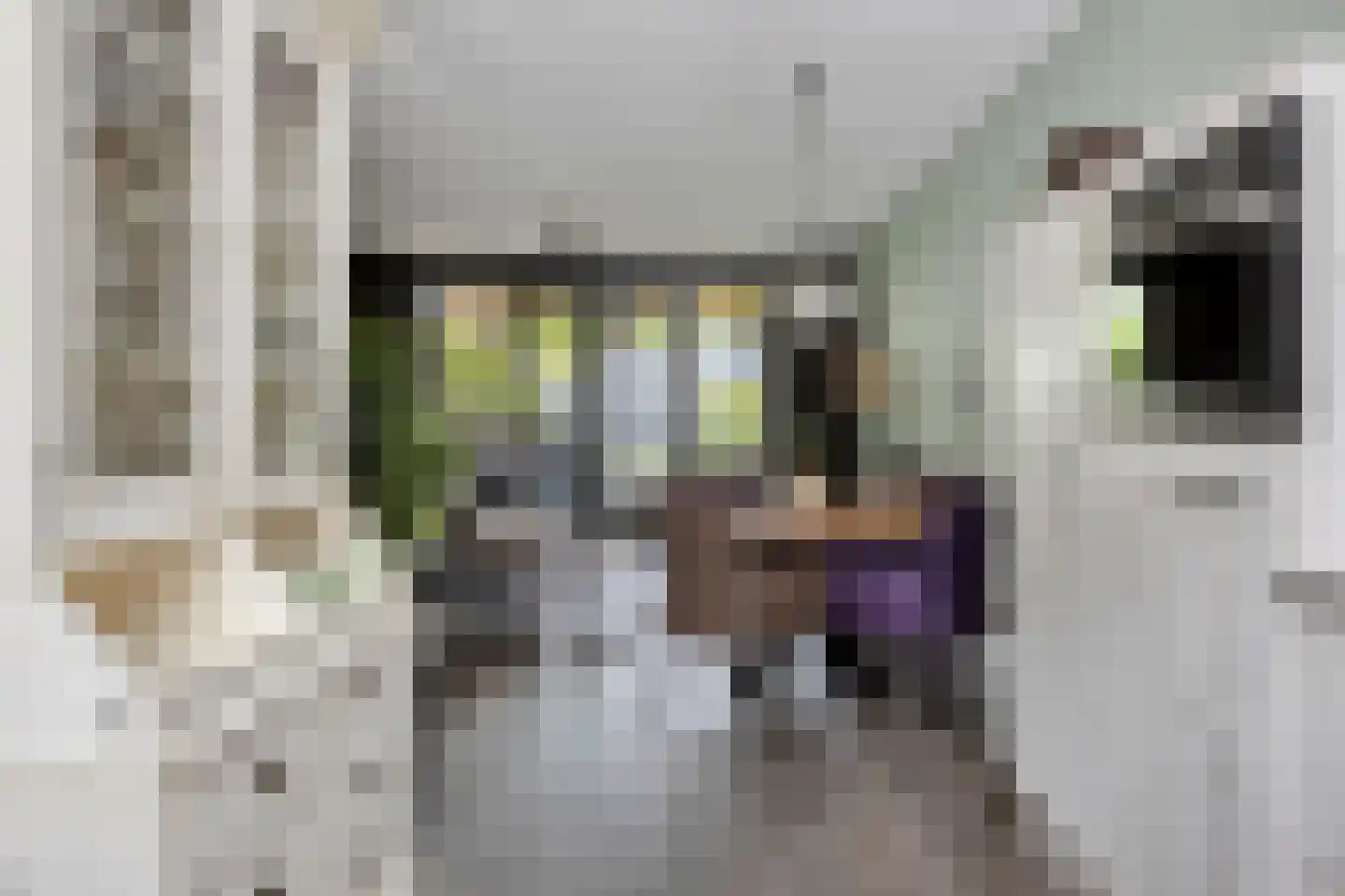 Botersteeg 3 Helmond thumbnail 19