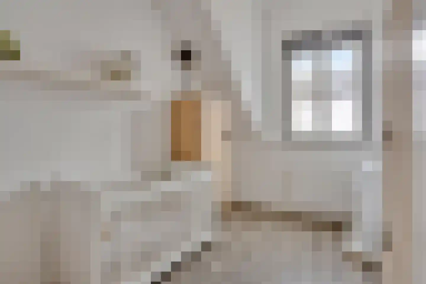 Botersteeg 3 Helmond thumbnail 23