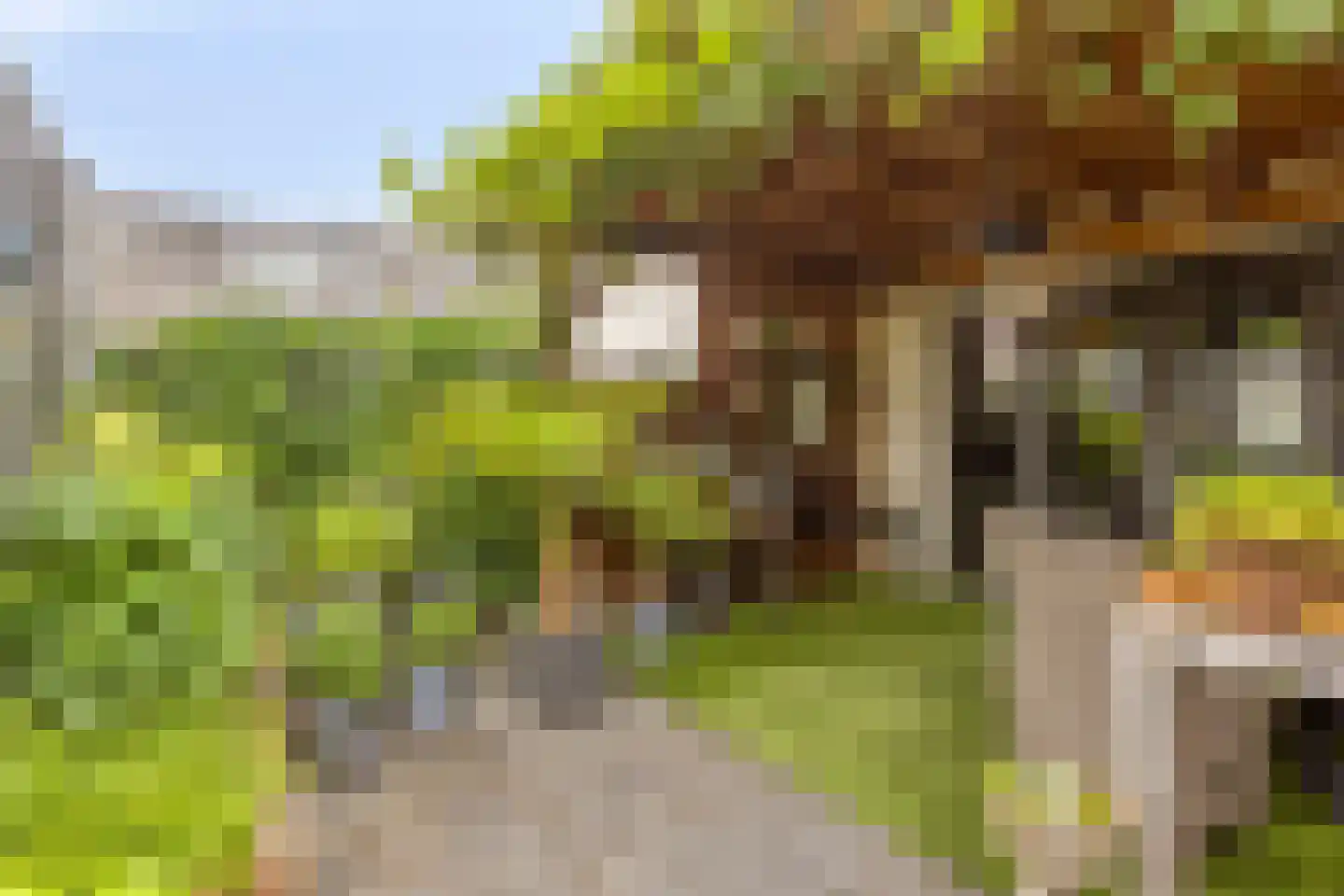 Botersteeg 3 Helmond thumbnail 27