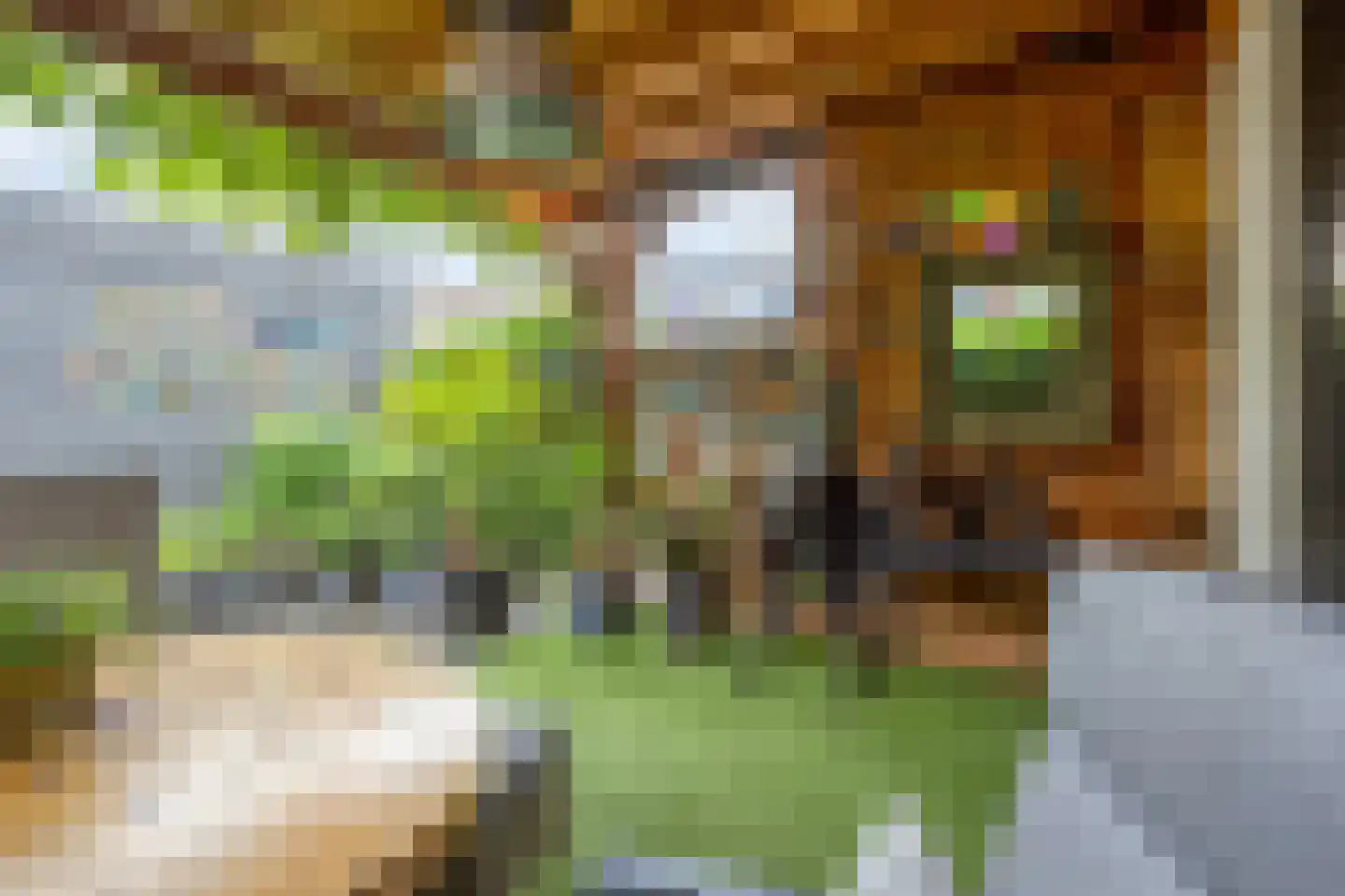 Botersteeg 3 Helmond thumbnail 29