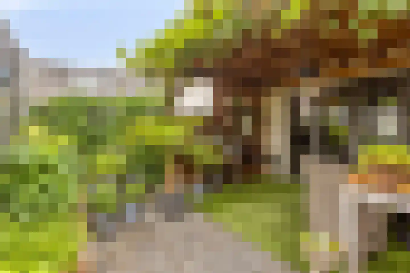 Botersteeg 3 Helmond thumbnail 6