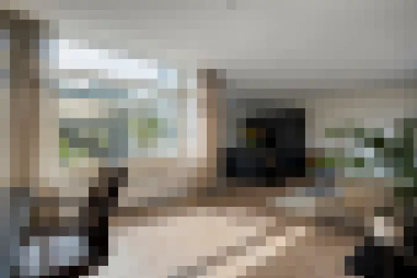 Botersteeg 5 A Coevorden thumbnail 15