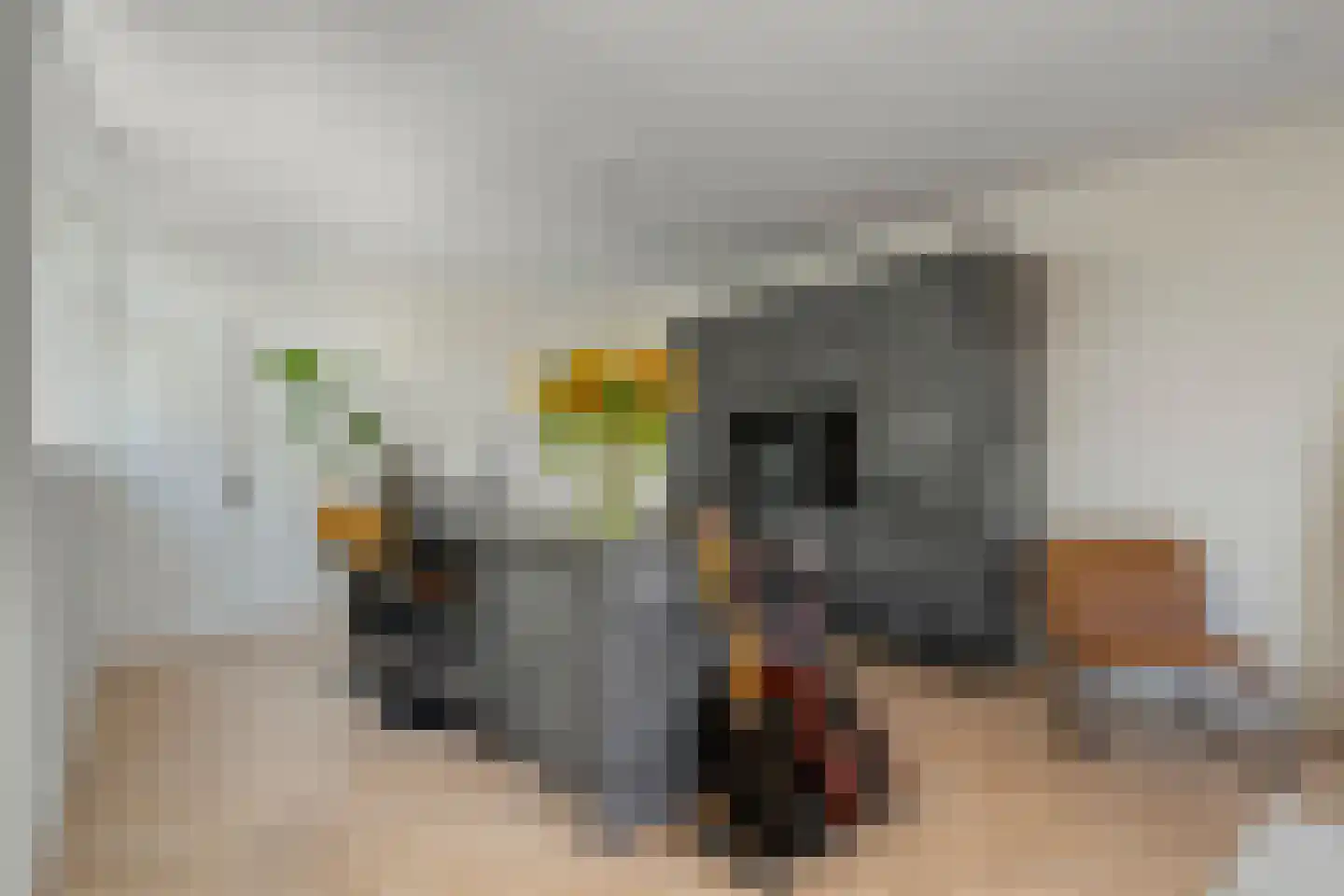 Botersteeg 5 A Coevorden thumbnail 17