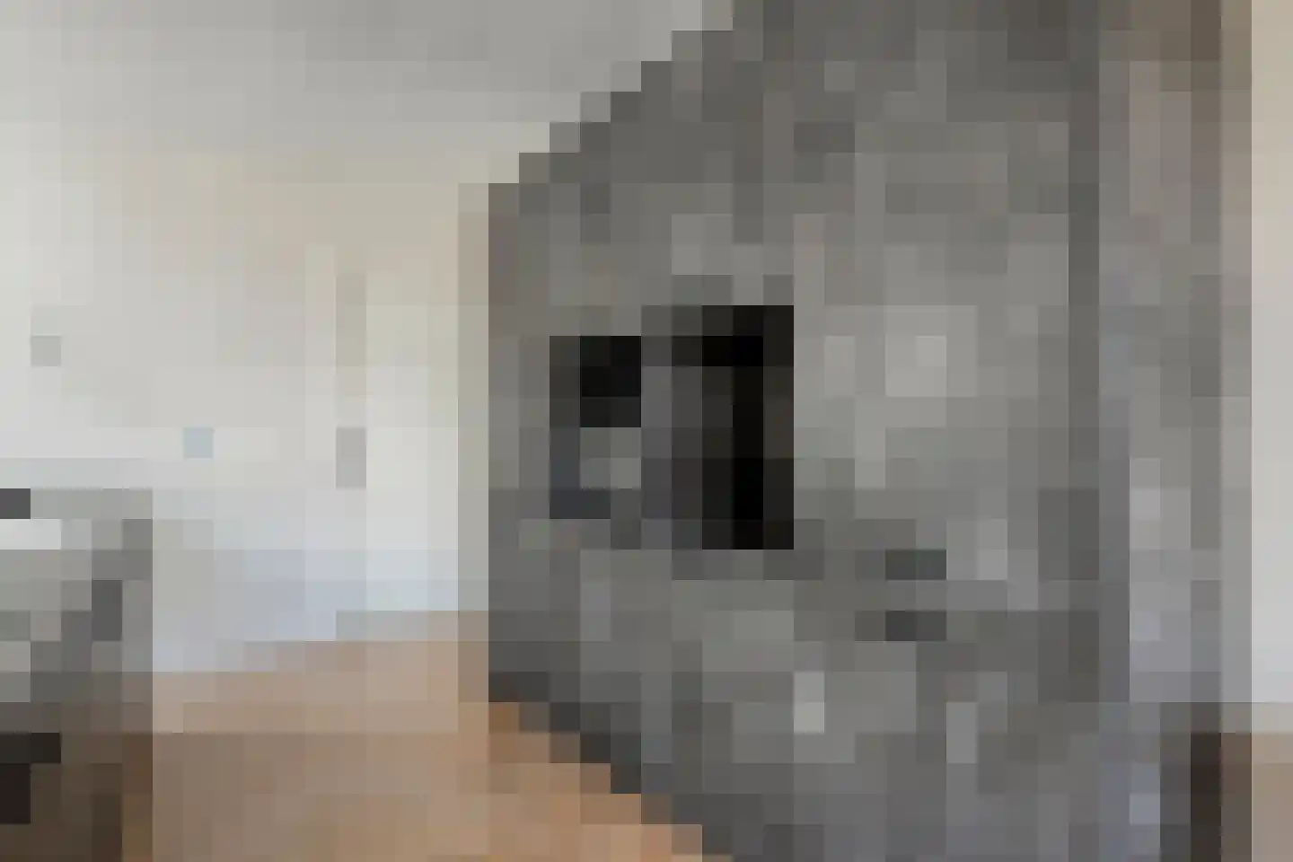 Botersteeg 5 A Coevorden thumbnail 20