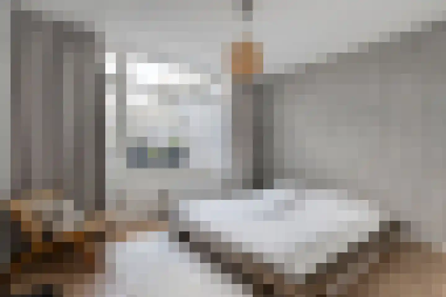 Botersteeg 5 A Coevorden thumbnail 24