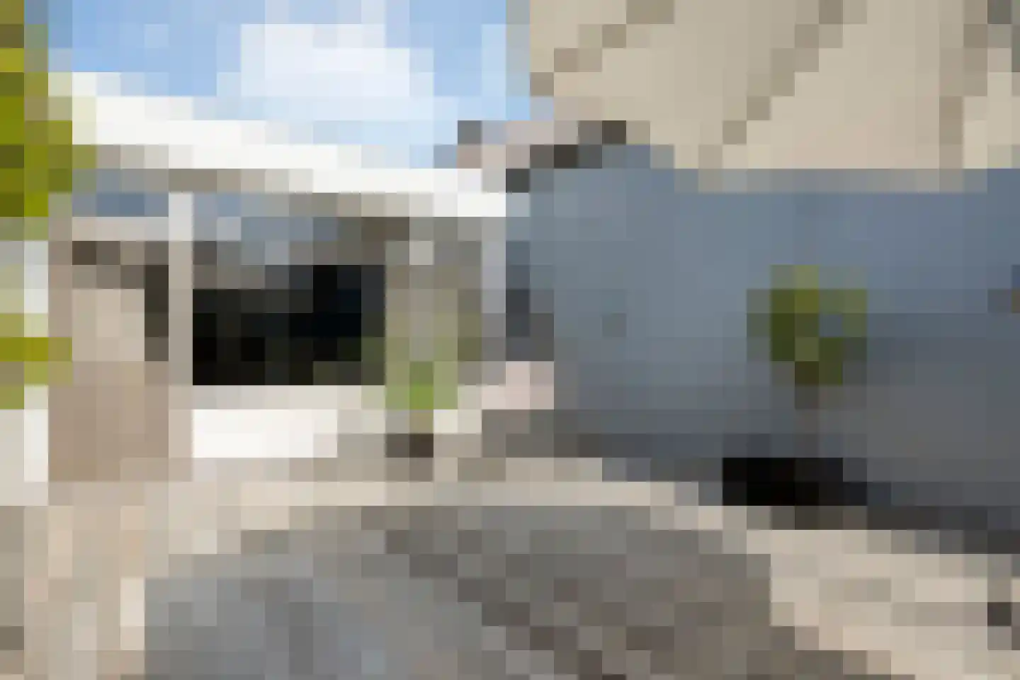 Botersteeg 5 A Coevorden thumbnail 34