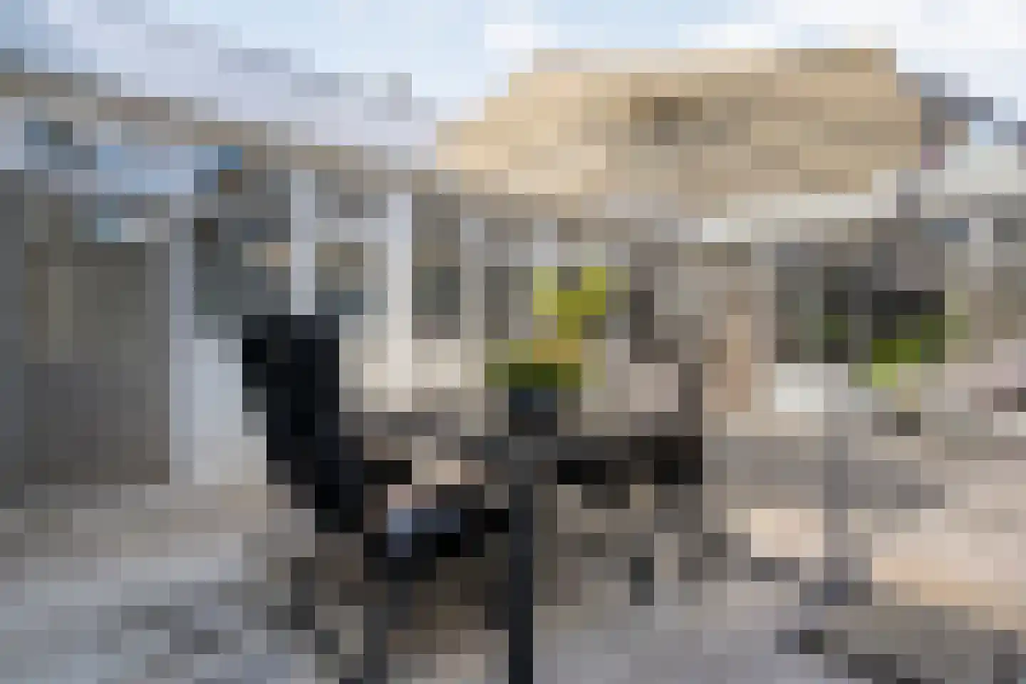 Botersteeg 5 A Coevorden thumbnail 35
