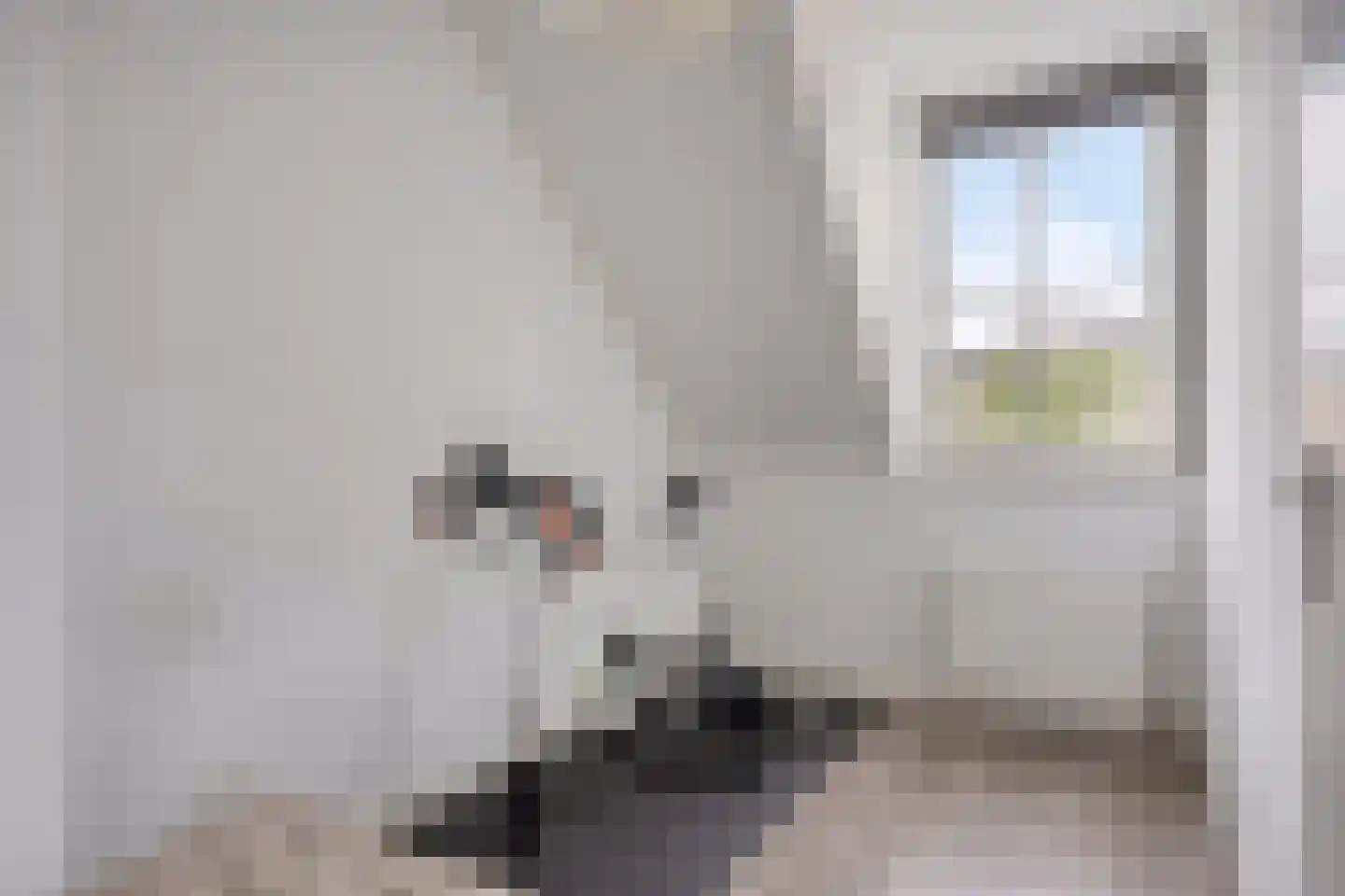 Botersteeg 9 Helmond thumbnail 22