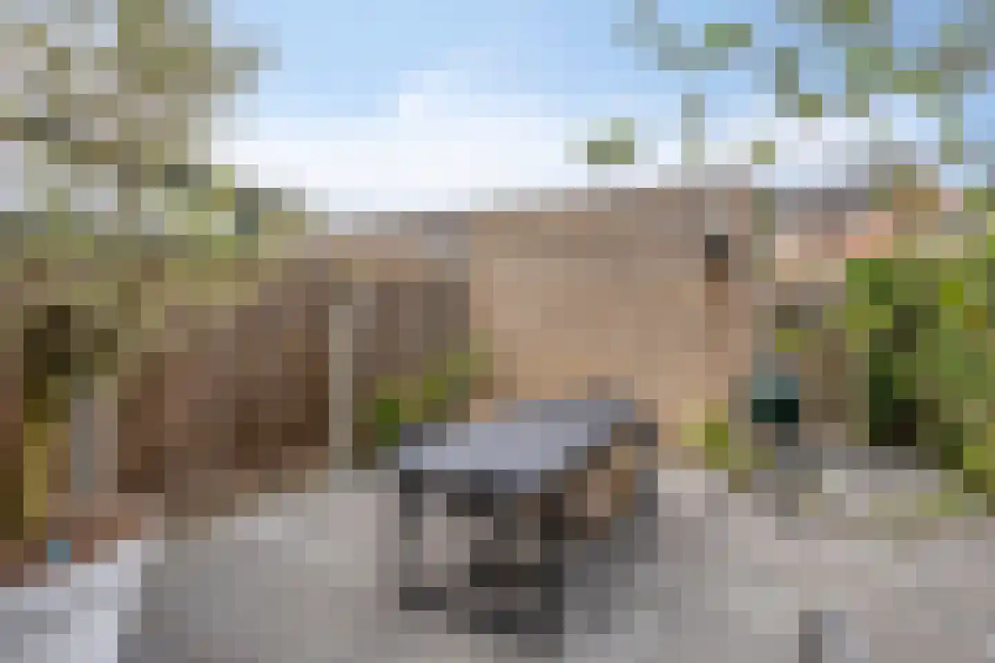 Botersteeg 9 Helmond thumbnail 28