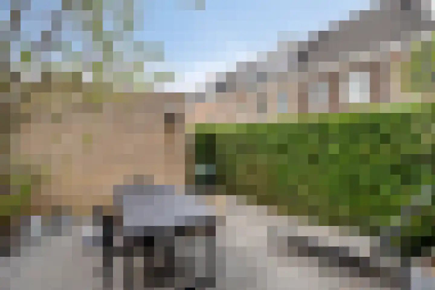 Botersteeg 9 Helmond thumbnail 29