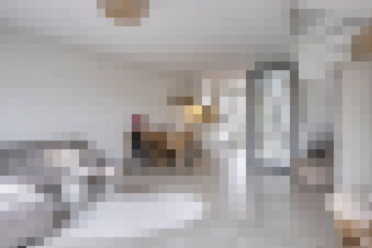 Botersteeg 9 Helmond thumbnail 8