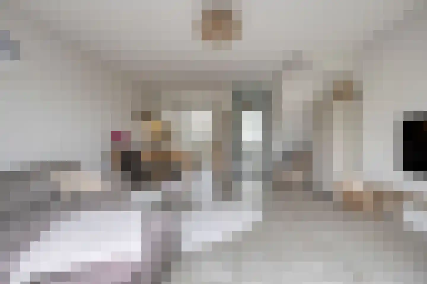 Botersteeg 9 Helmond thumbnail 9