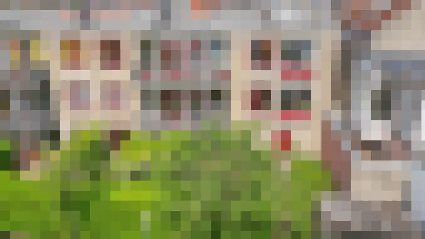 Boterstraat 10 A Utrecht thumbnail 27