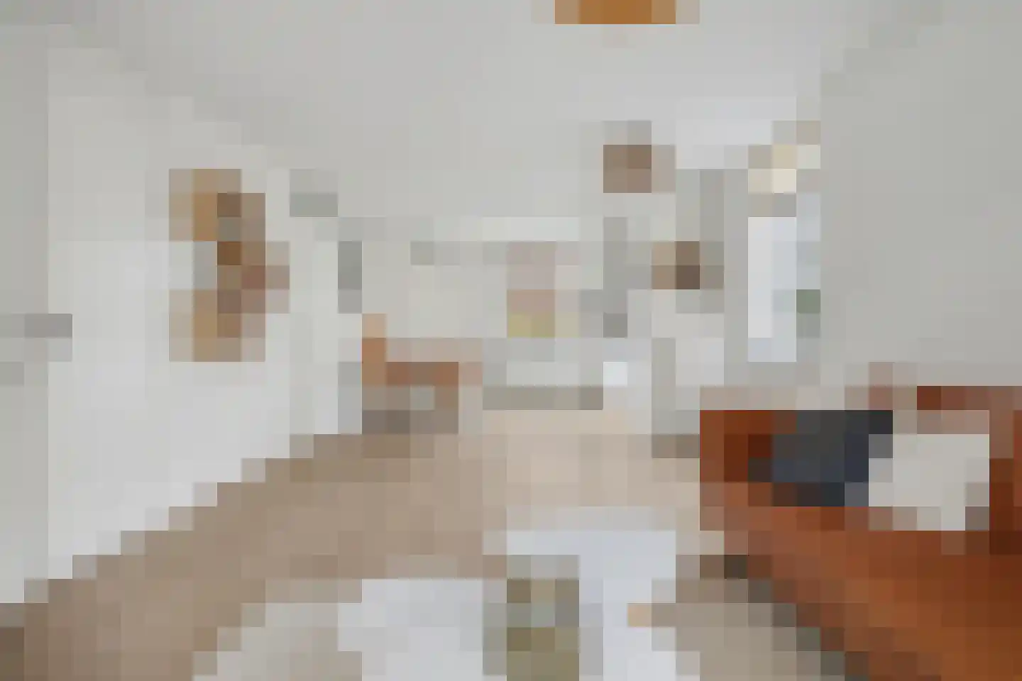 Boterstraat 12 Brielle thumbnail 7