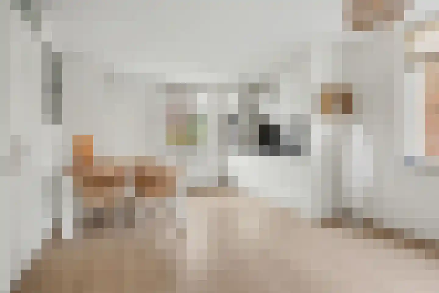Boterstraat 12 Brielle thumbnail 9
