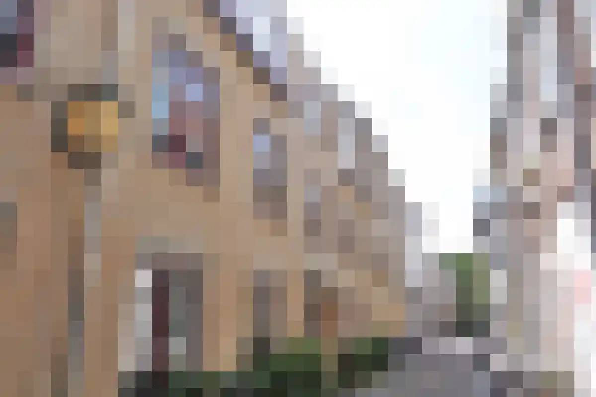 Boterstraat 16 Utrecht thumbnail 5