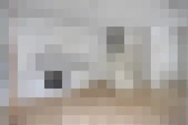 Boterstraat 17 Oss thumbnail 18