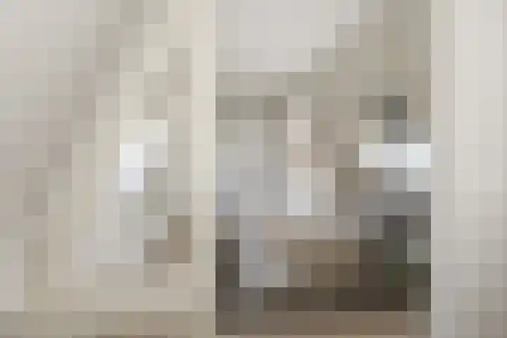 Boterstraat 17 Oss thumbnail 21