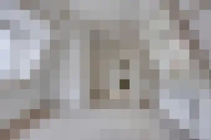 Boterstraat 17 Oss thumbnail 23